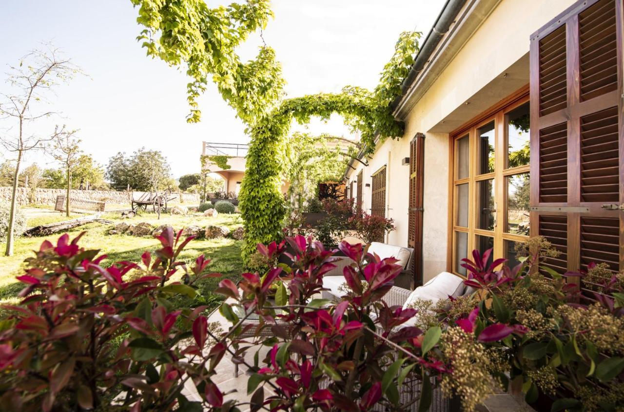 Premium Double or Twin Room Terrace Spa Access