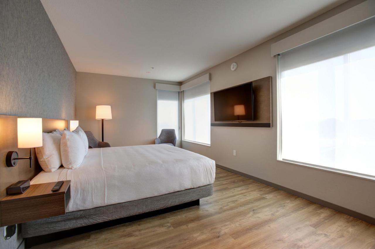 One-Bedroom King Suite Sofa Bed,1038381919:JPEG