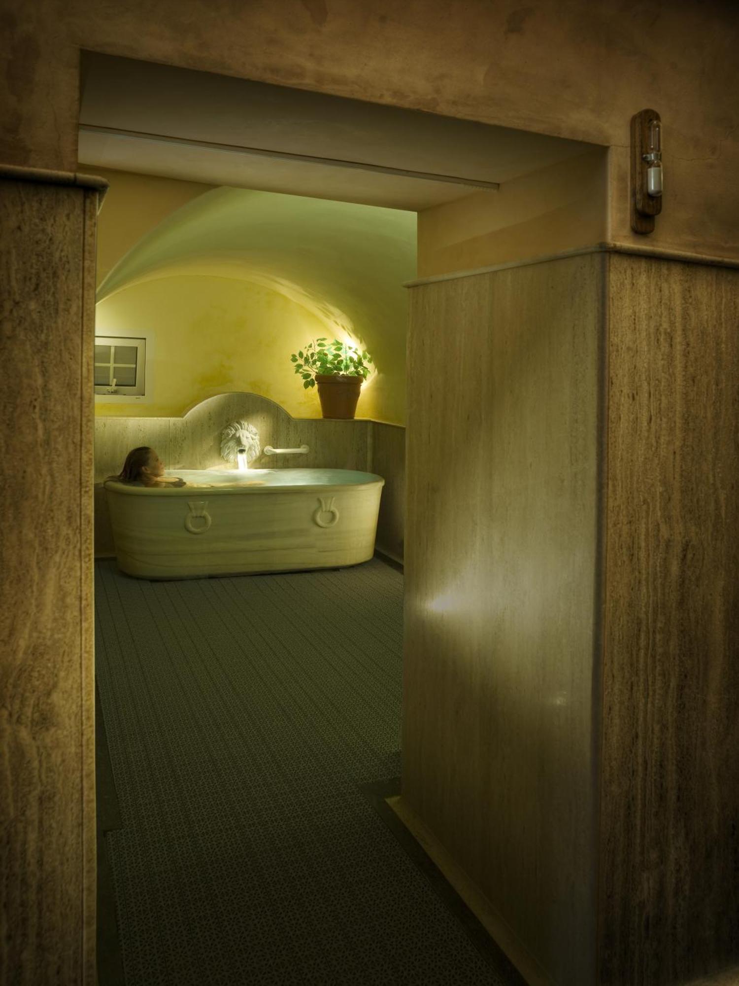 Habitación Individual Estándar con acceso al spa