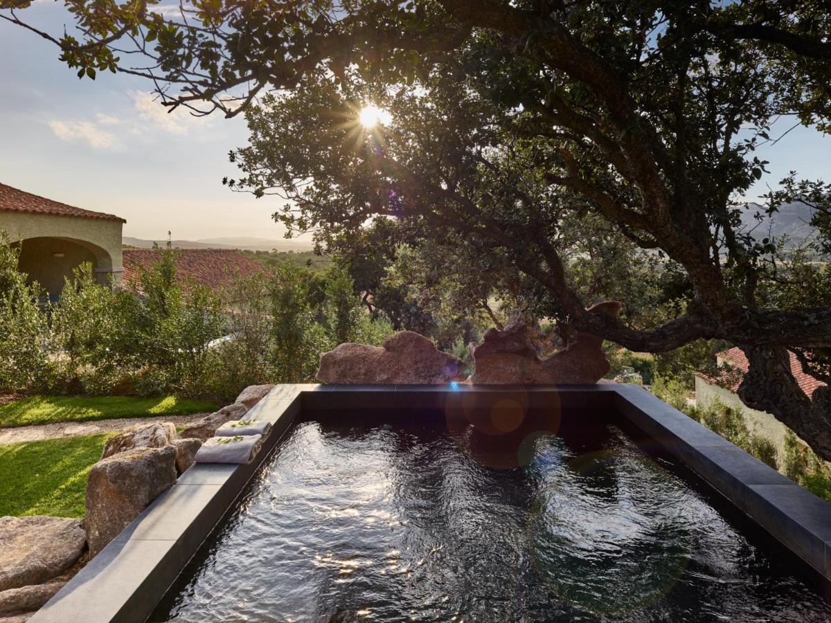 Suite Deluxe con Piscina Privata