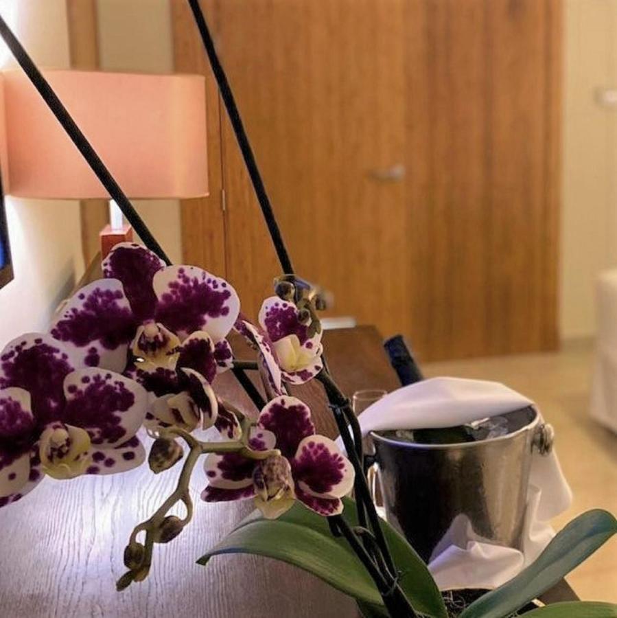 Suíte Júnior Allure com Cama King-size e Vista Tropical