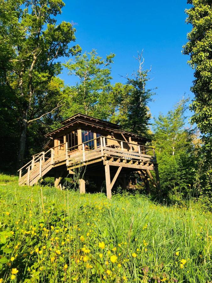 Cabane avec Spa