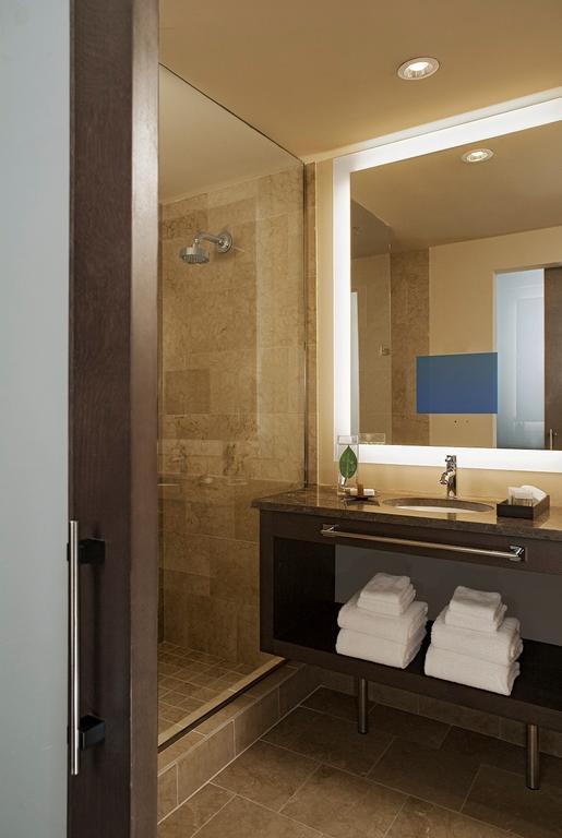 King Room Accessible Tub Disability Access