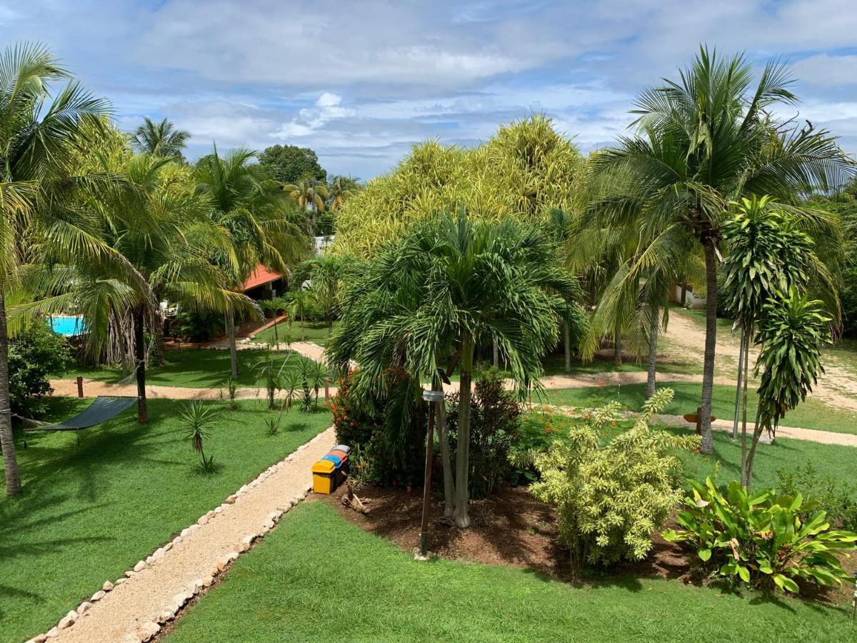 Estudio con cocina - Vistas al jardín