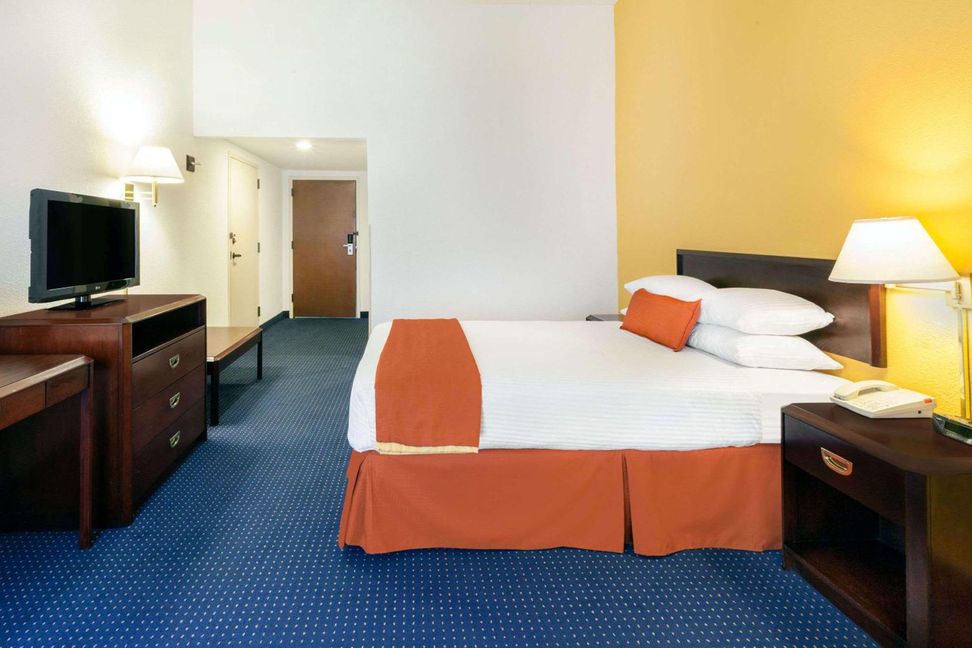 Habitación adaptada para personas con movilidad reducida - 1 cama grande - No fumadores