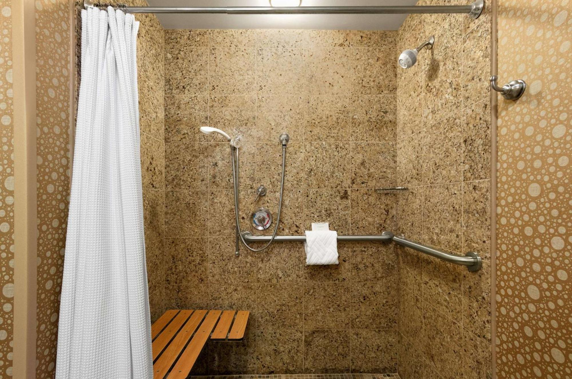 King Room Roll Shower Mobility Access
