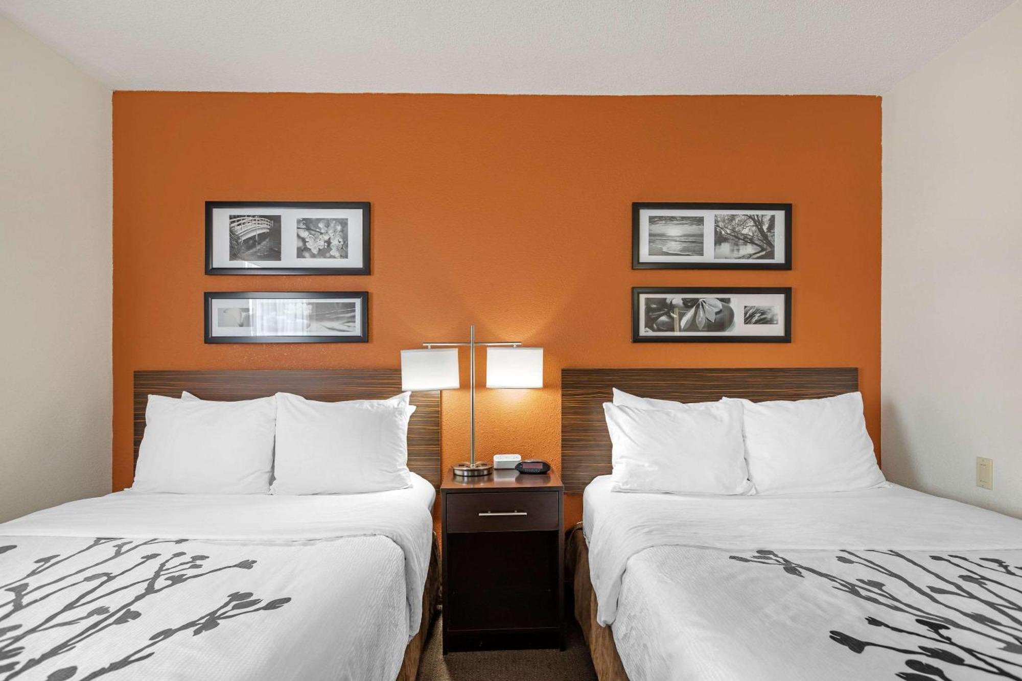 Double Room with Two Double Beds