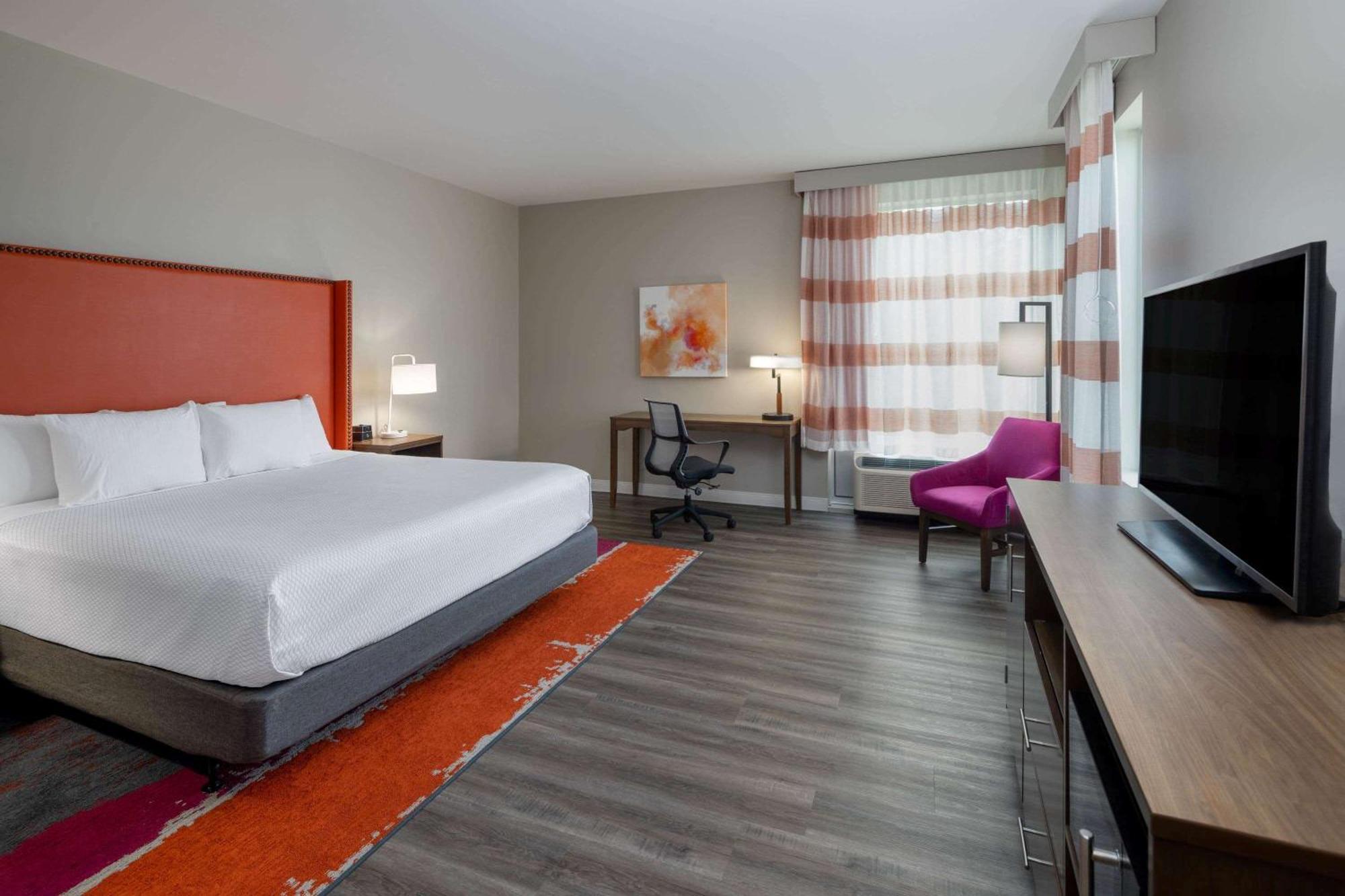 King Room