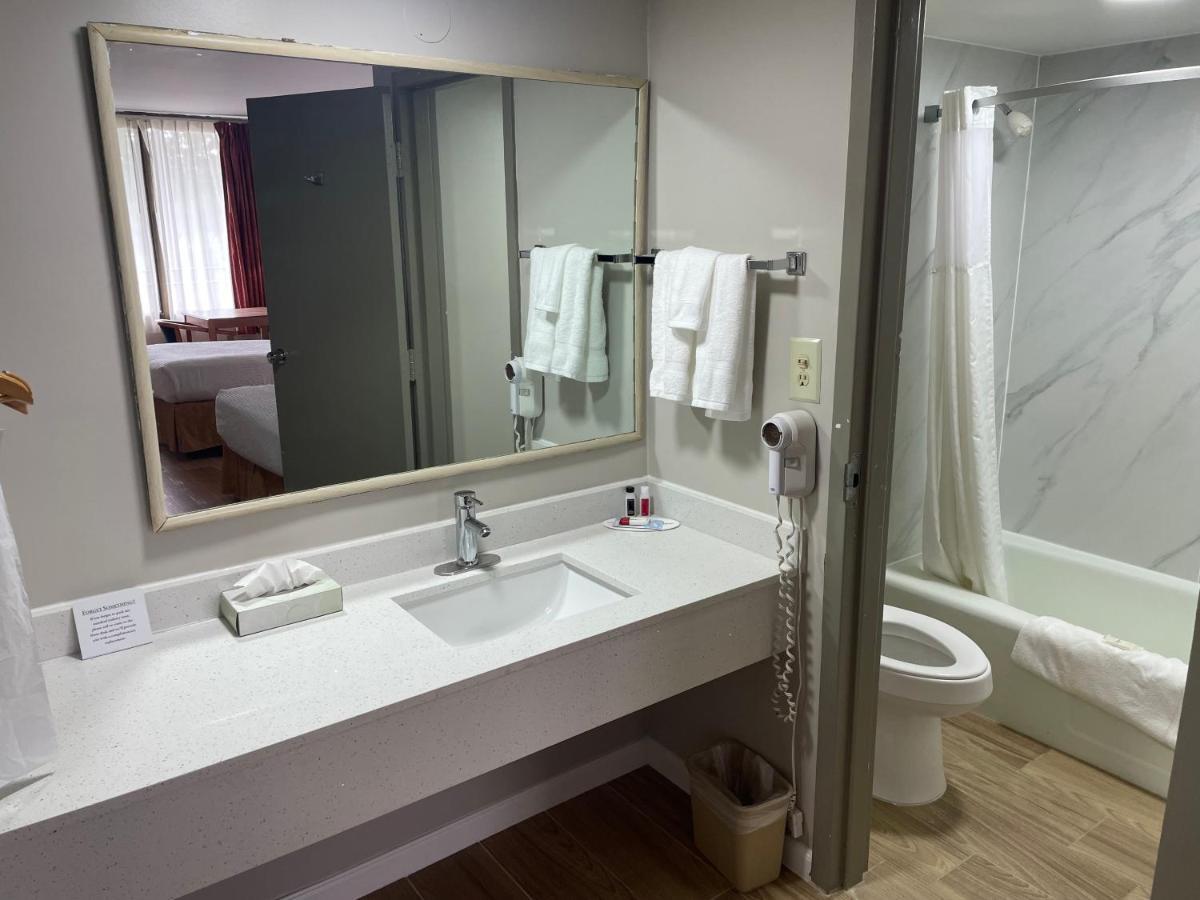 Studio Suite with Two Double Beds - Non-Smoking