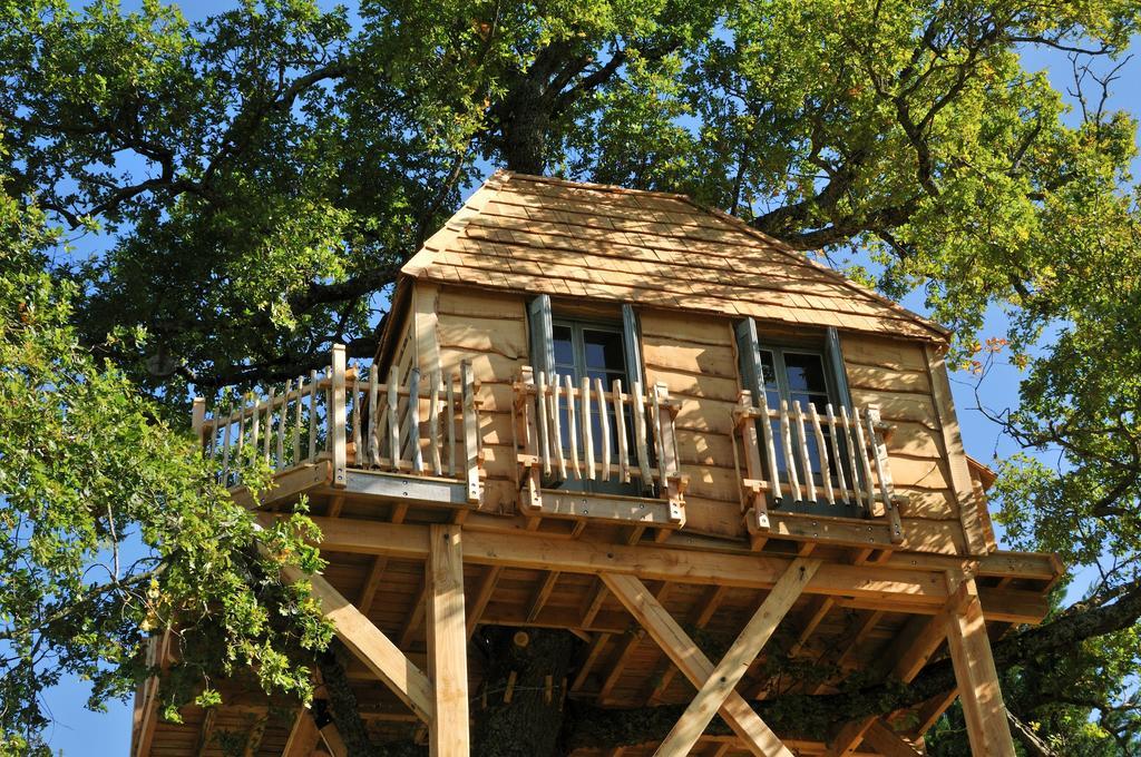 Tree House,203863309:JPEG