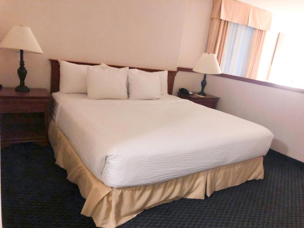 King Room Sofa Bed