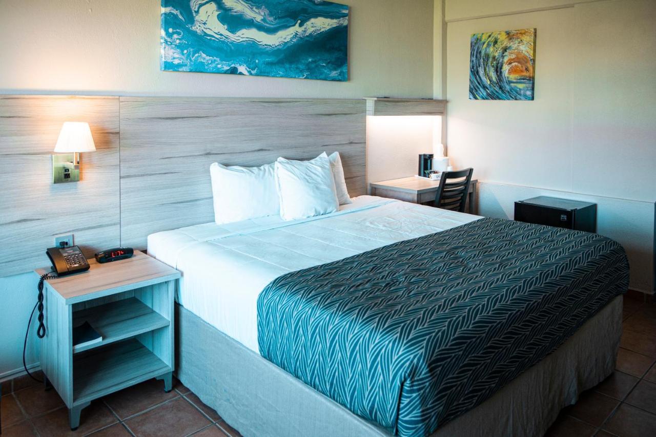Single King Suite