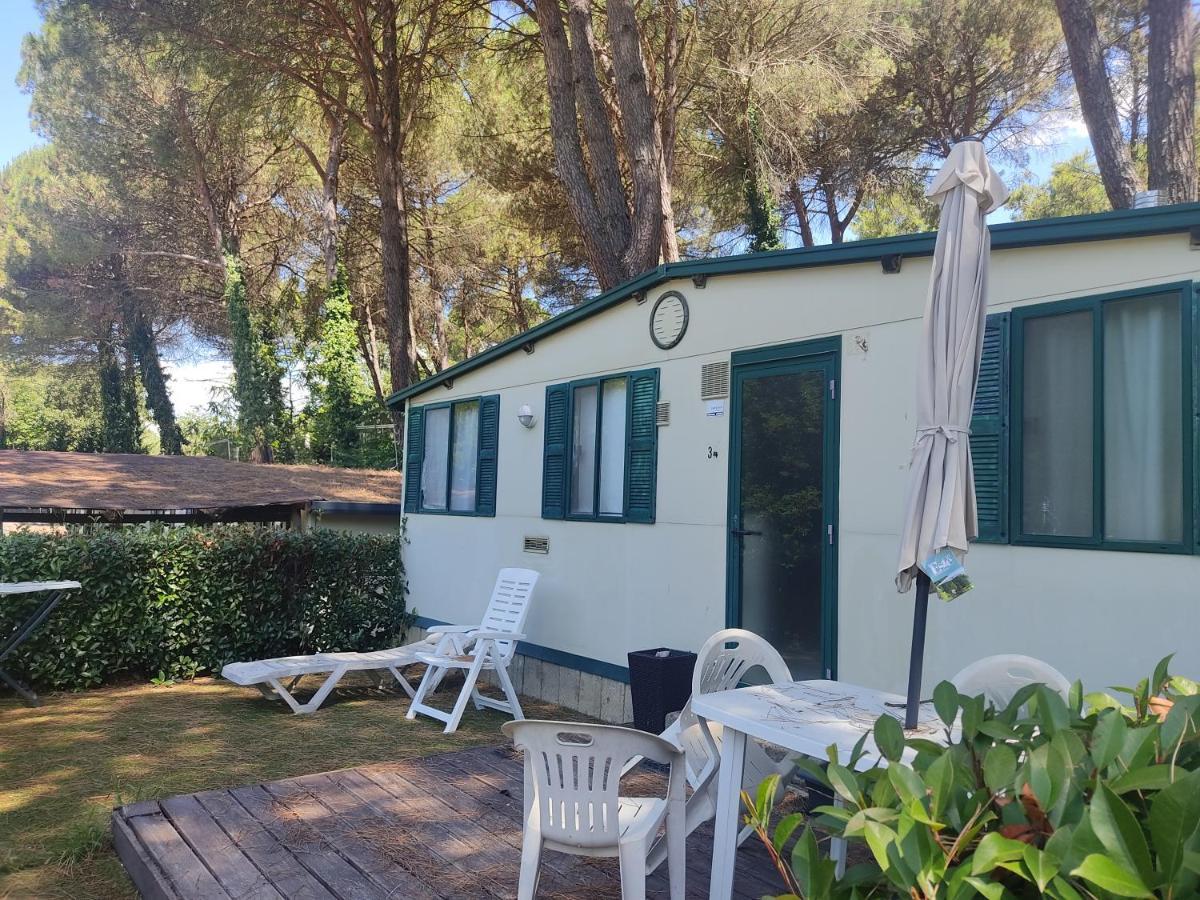 Mobile Home Standard