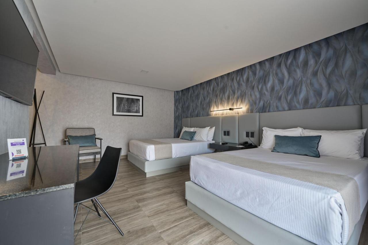 Suite Junior