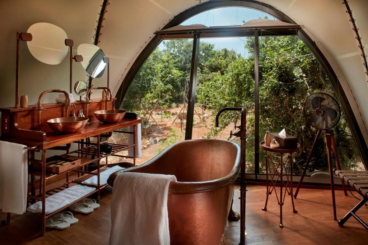 Suite Cocon avec Piscine et 1 Safari Gratuit