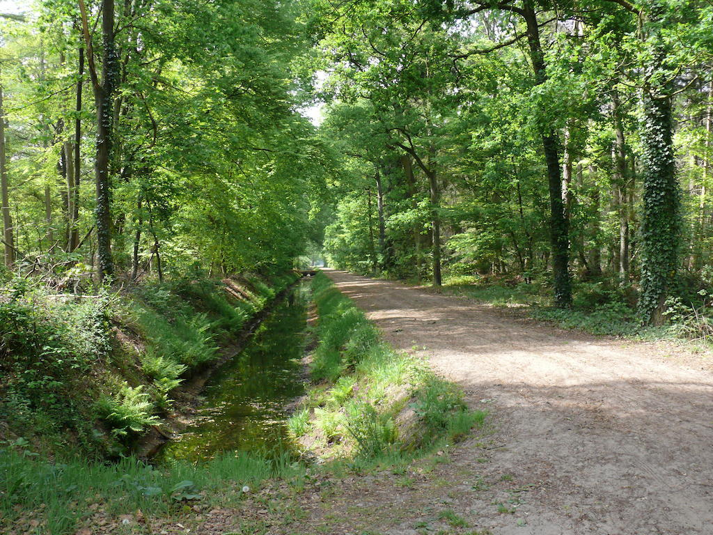 Bungalow (6 Volwassenen)