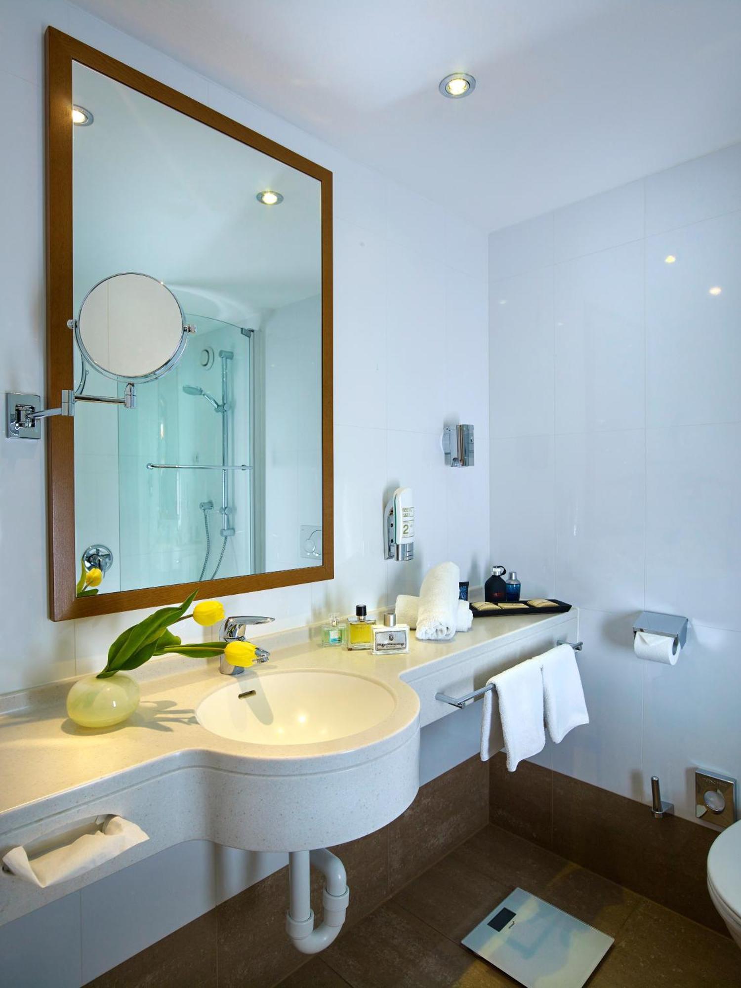 Chambre Double Mansardée Altstadt