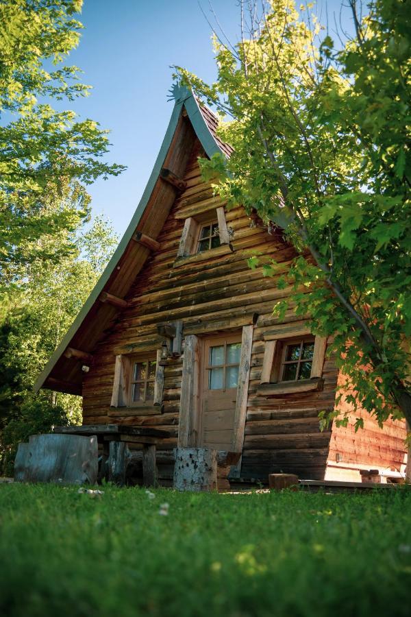 Cabane Trappeur