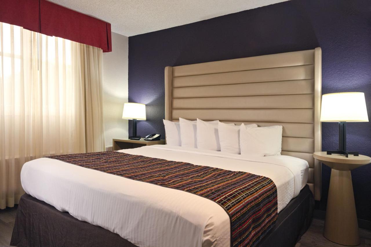 Suíte de 1 Quarto com Cama King-size - Não Fumantes