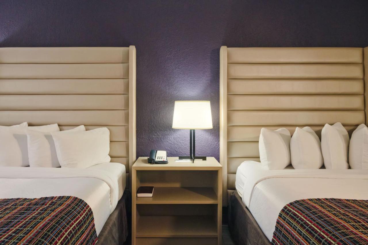 Suíte de 1 Quarto com 2 Camas Queen - Não-Fumante