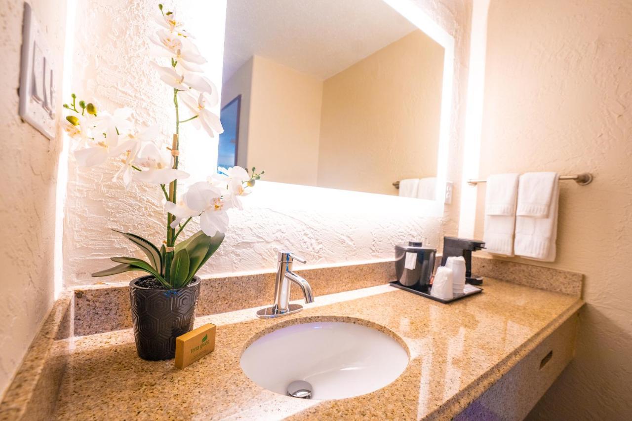 Quarto Duplo com 2 Camas de Casal e Vista da Piscina - Não-fumante