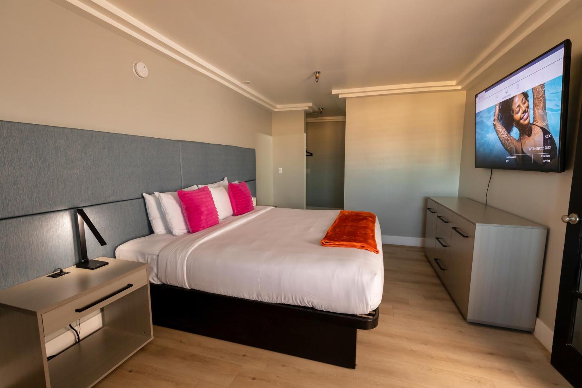 Lexi Suite