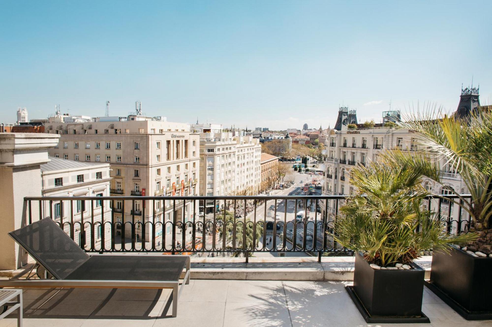 Suite Terrace