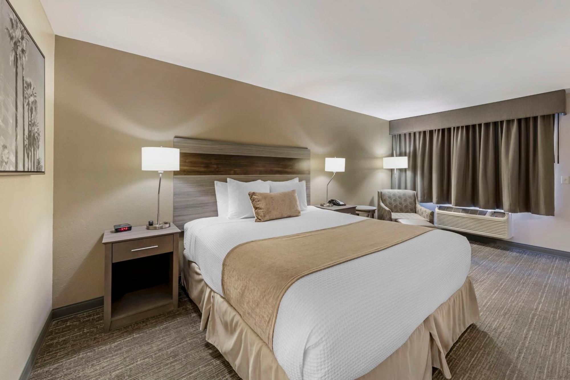 Business King Room - Non-Smoking