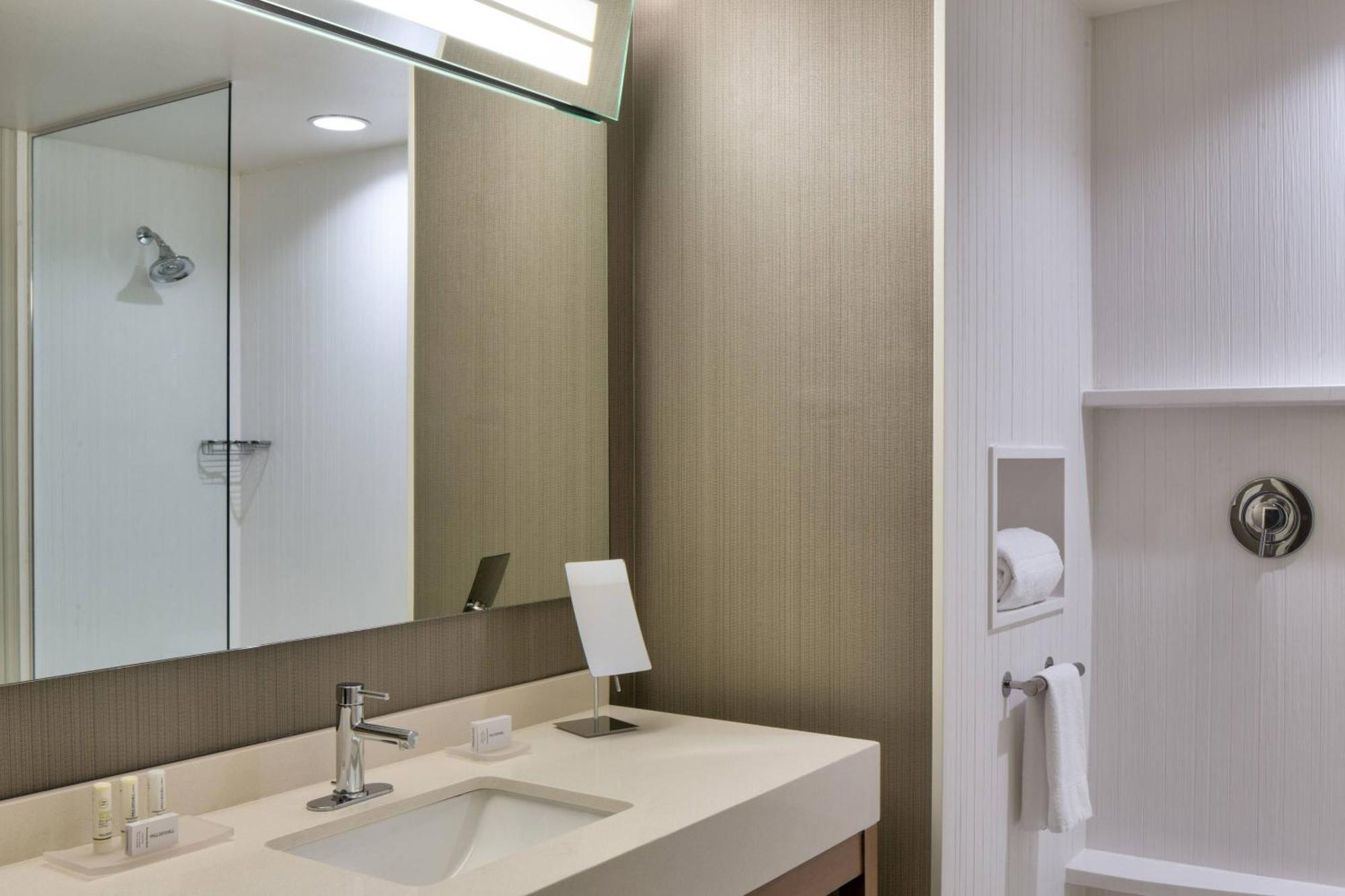 King Room with Bathtub and Transfer Shower - Mobility Access/Hearing Accessible