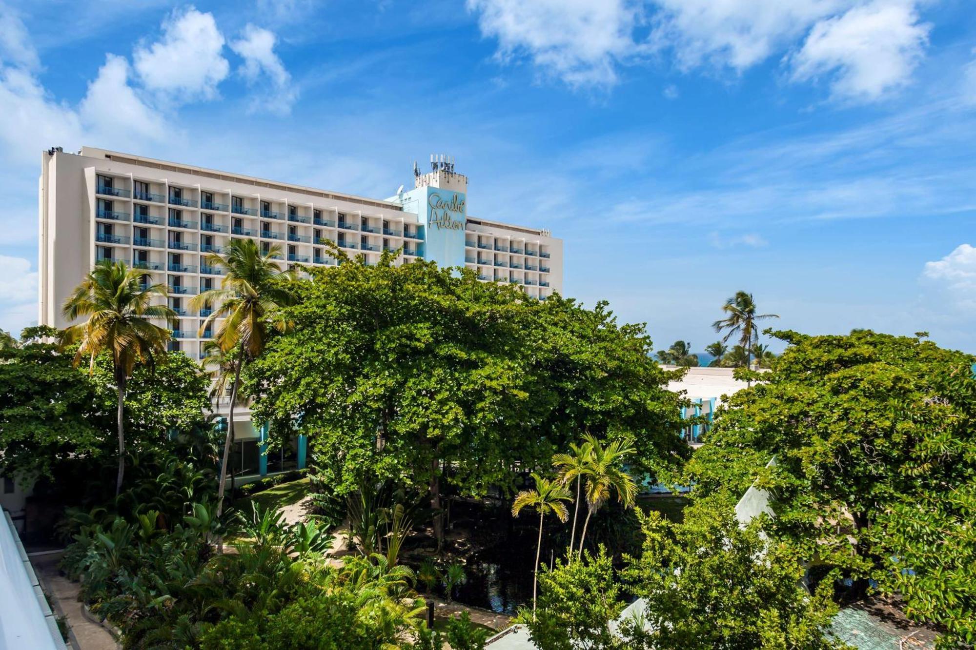 Suite Premium con cama extragrande y vistas al jardín