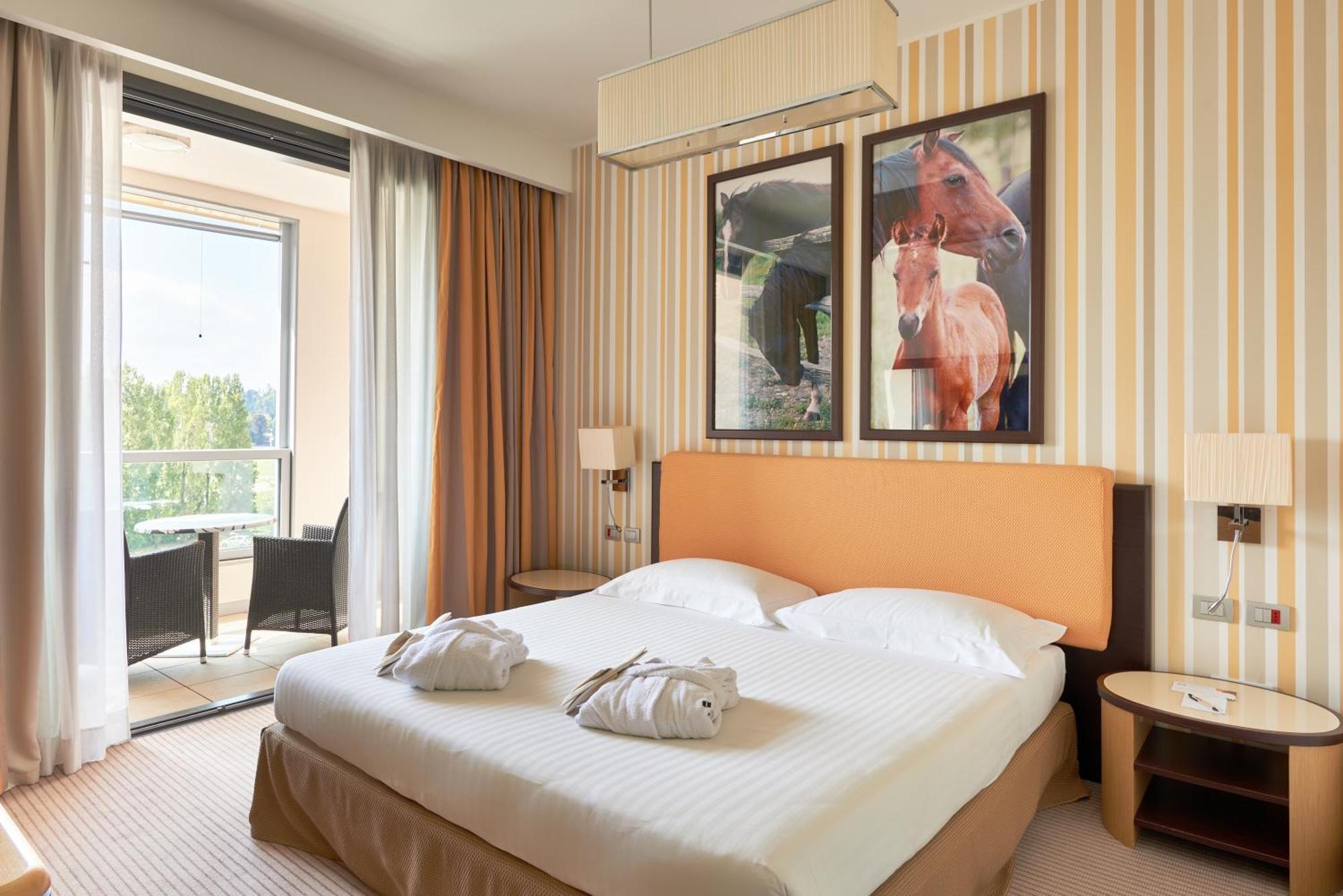 Superior Double or Twin Room,769917775:JPEG