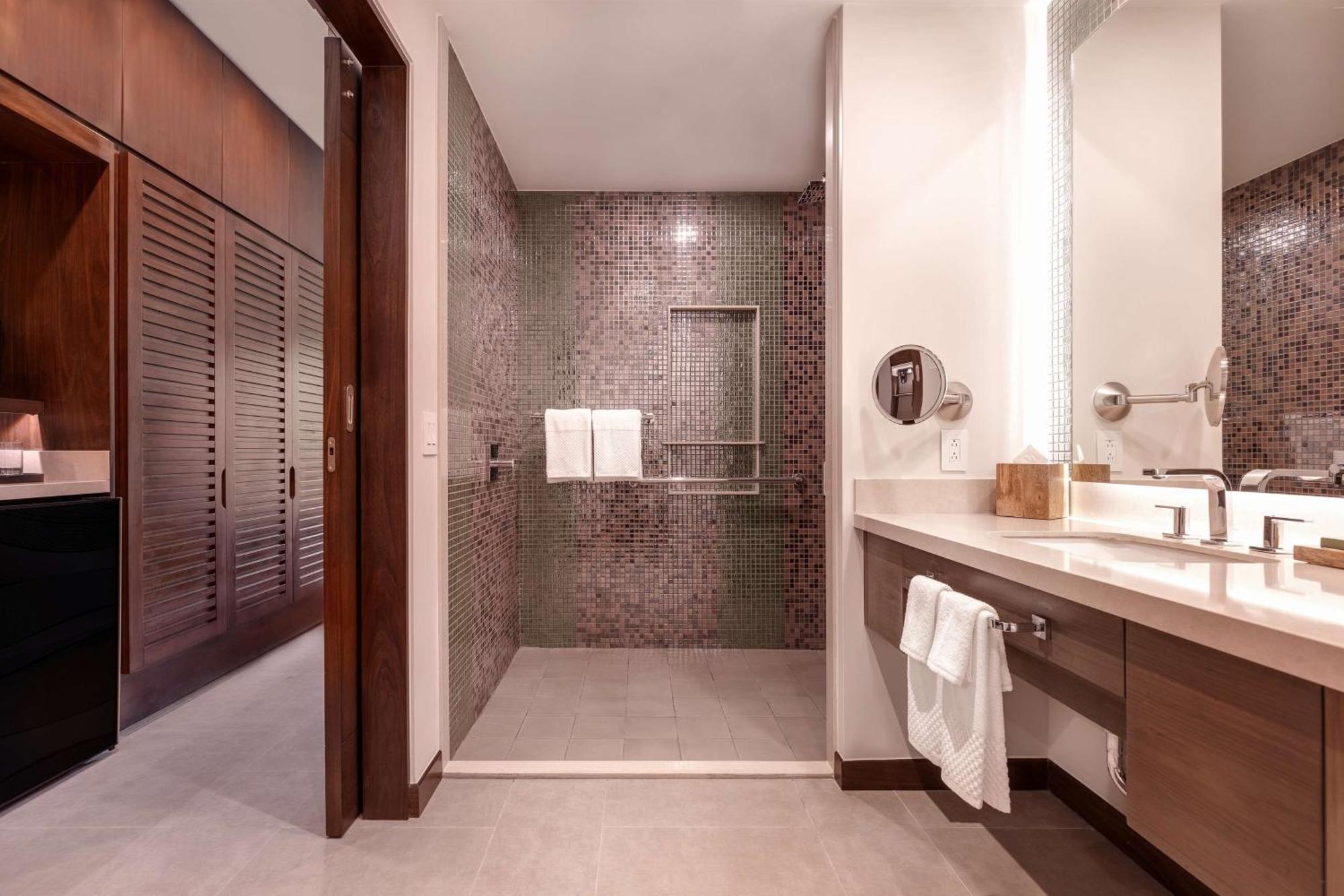 King Room Roll Shower Mobility Hearing Access