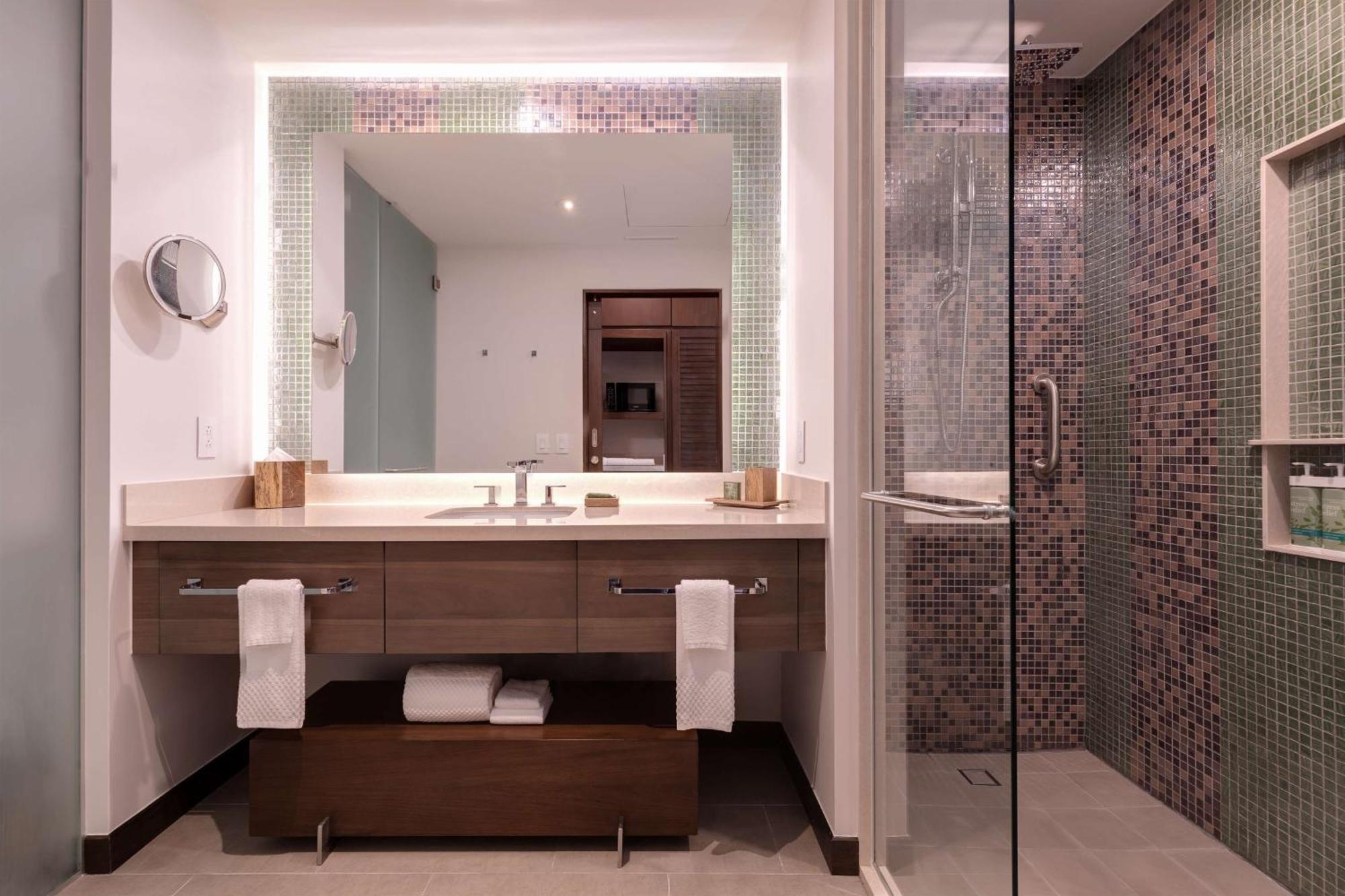 King Room Roll Shower Mobility Hearing Access