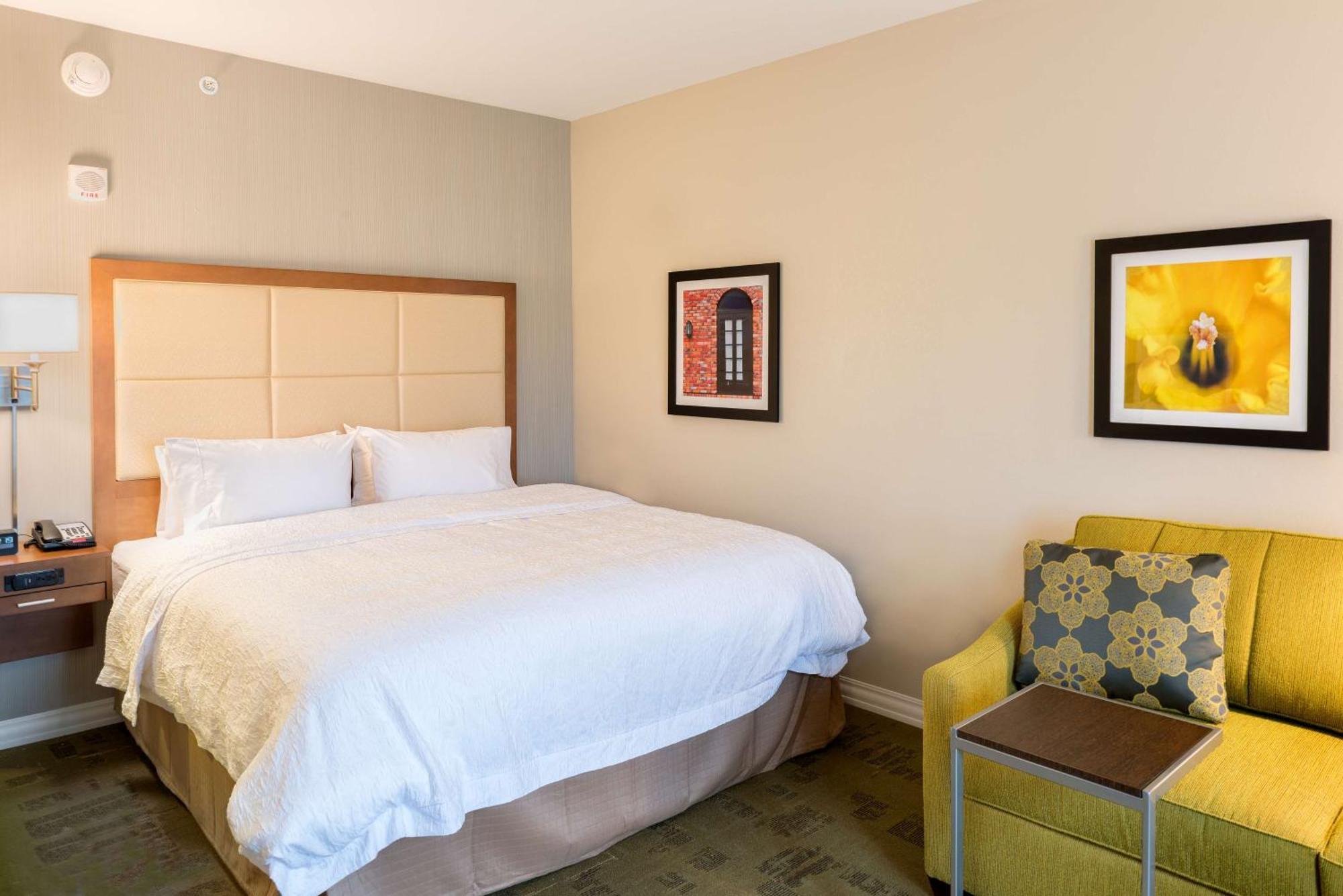 King Room with Roll-In Shower - Mobility and Hearing Access/Non-Smoking