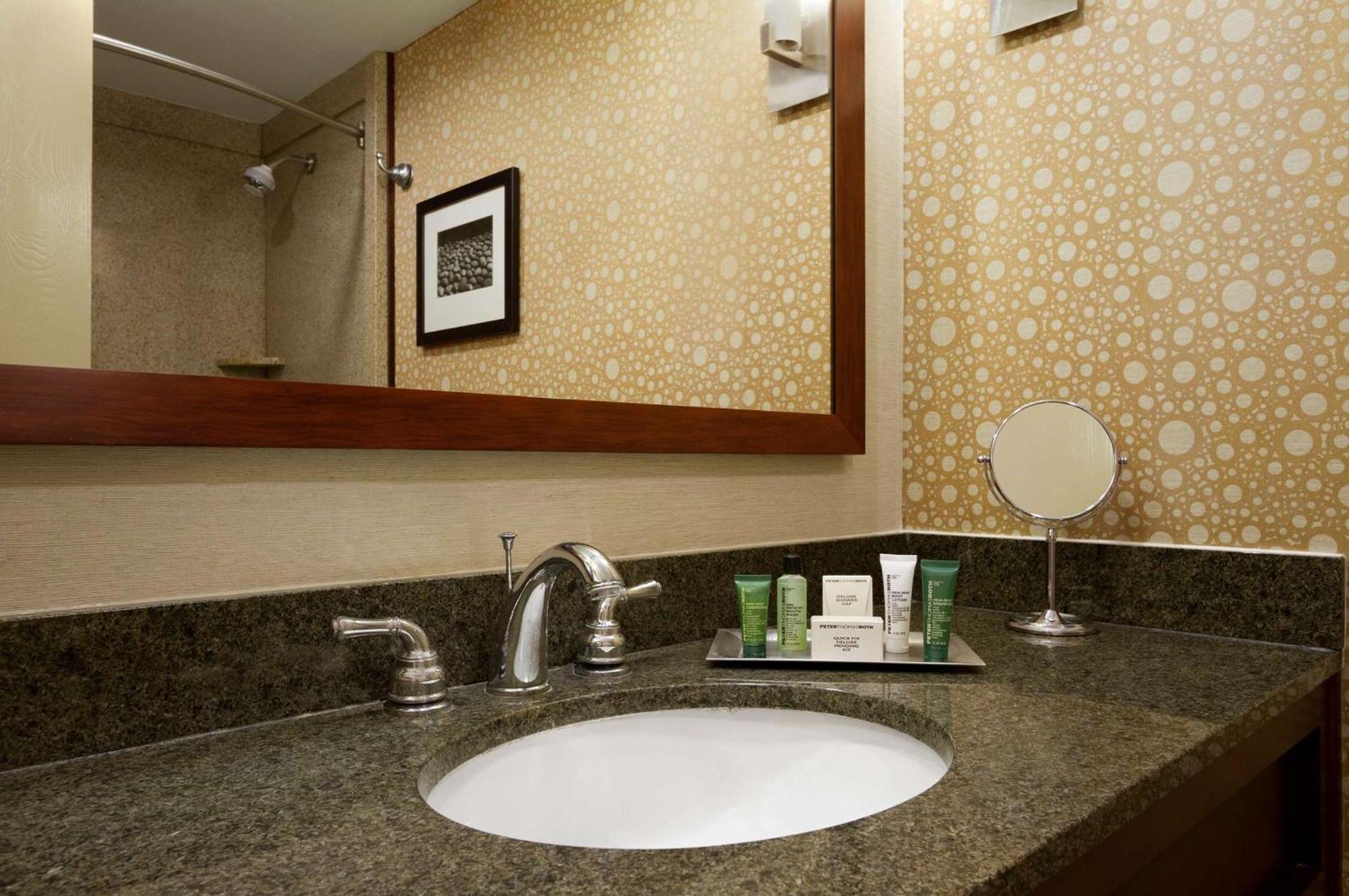 King Room Bath Tub Mobility Access