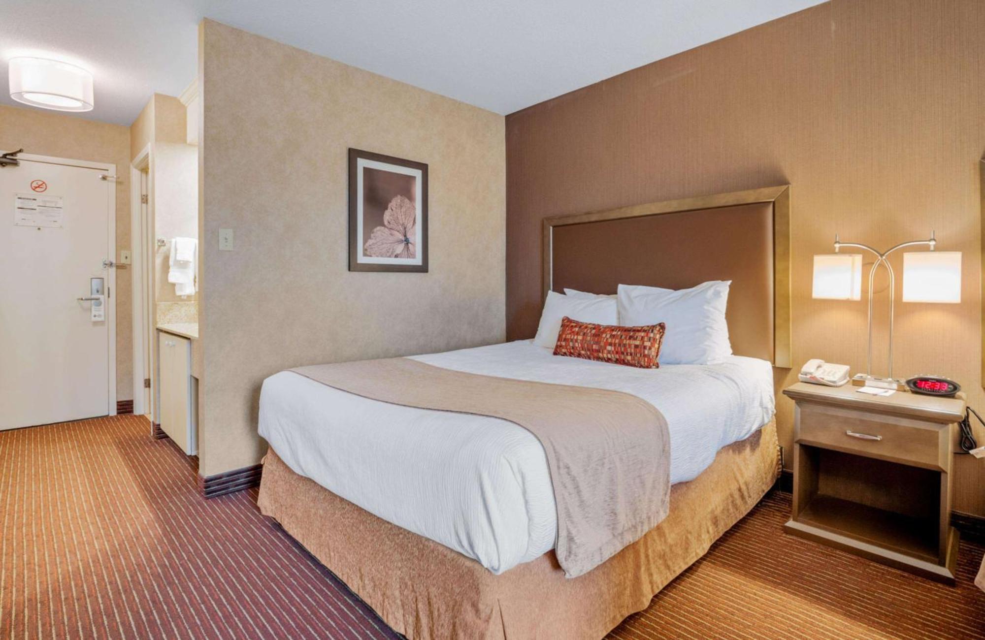 Standard Queen Room Two Queen Beds Guest House