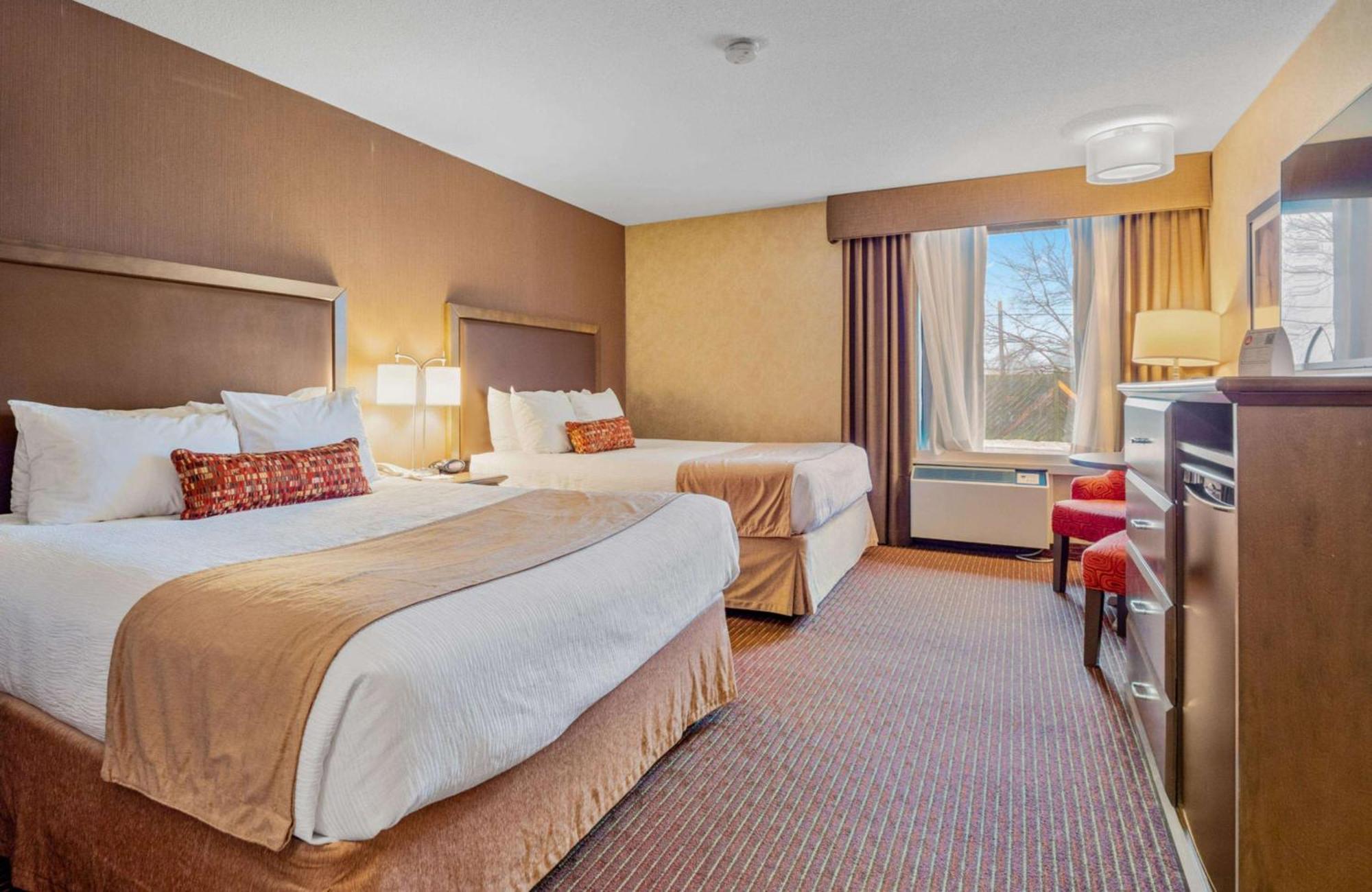 Standard Queen Room Two Queen Beds Guest House