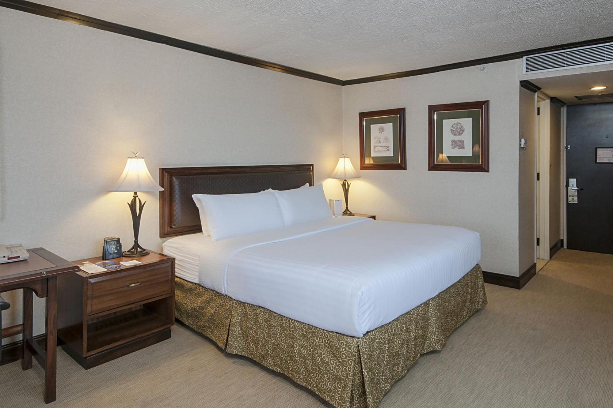 Standard King Room City View