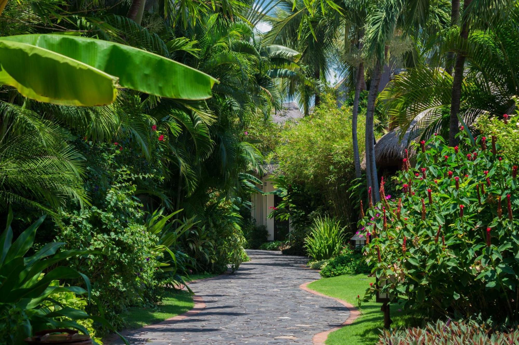 Serene Oasis Bungalow Garden View