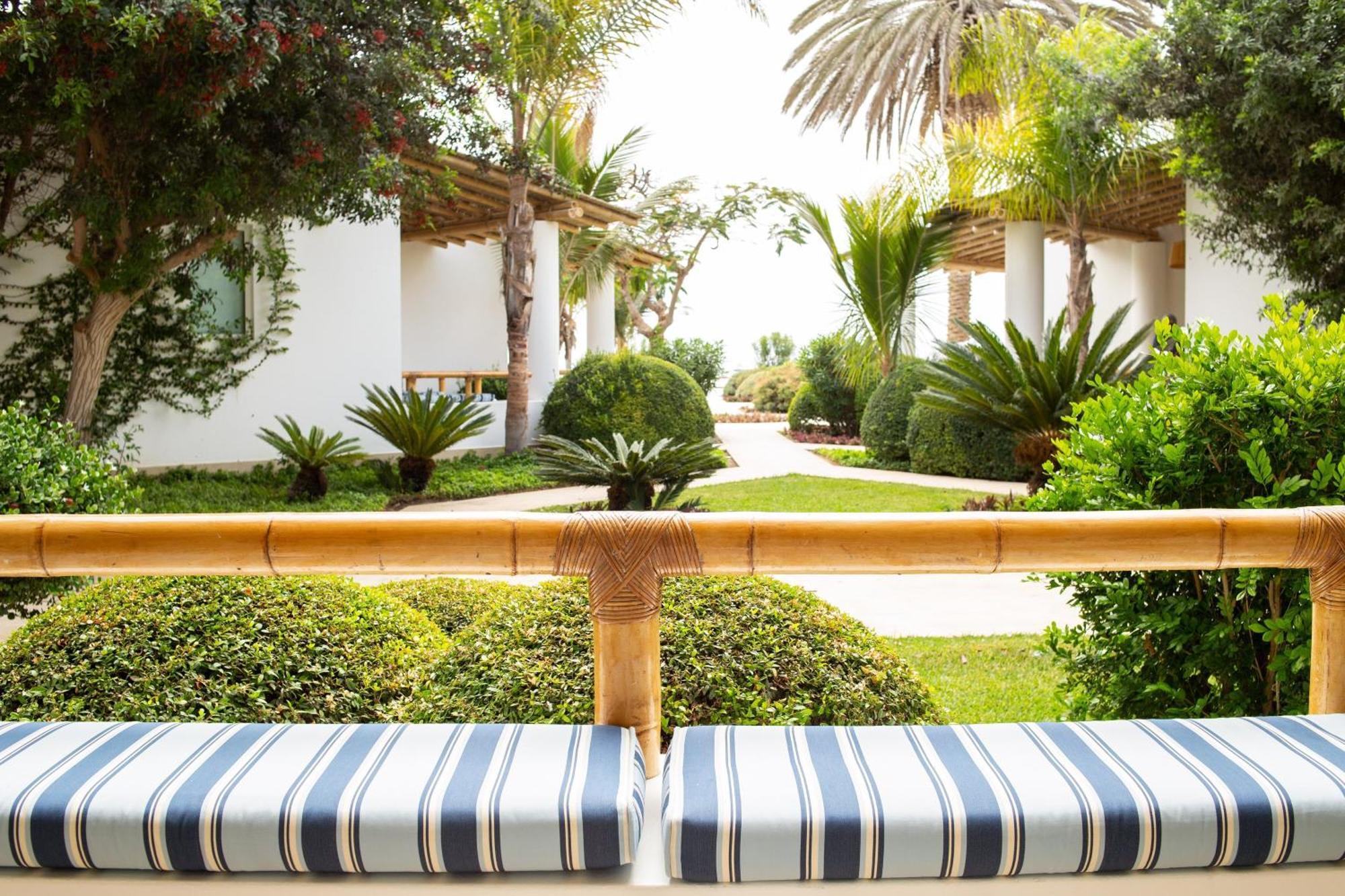 Terrace Suite 1 King Sofa Bed Garden View