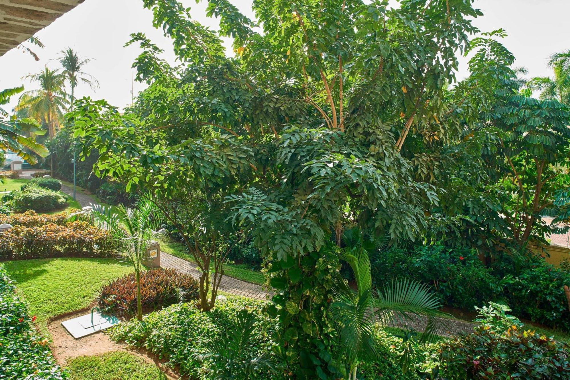 Habitación con 1 cama extragrande y vistas al jardín