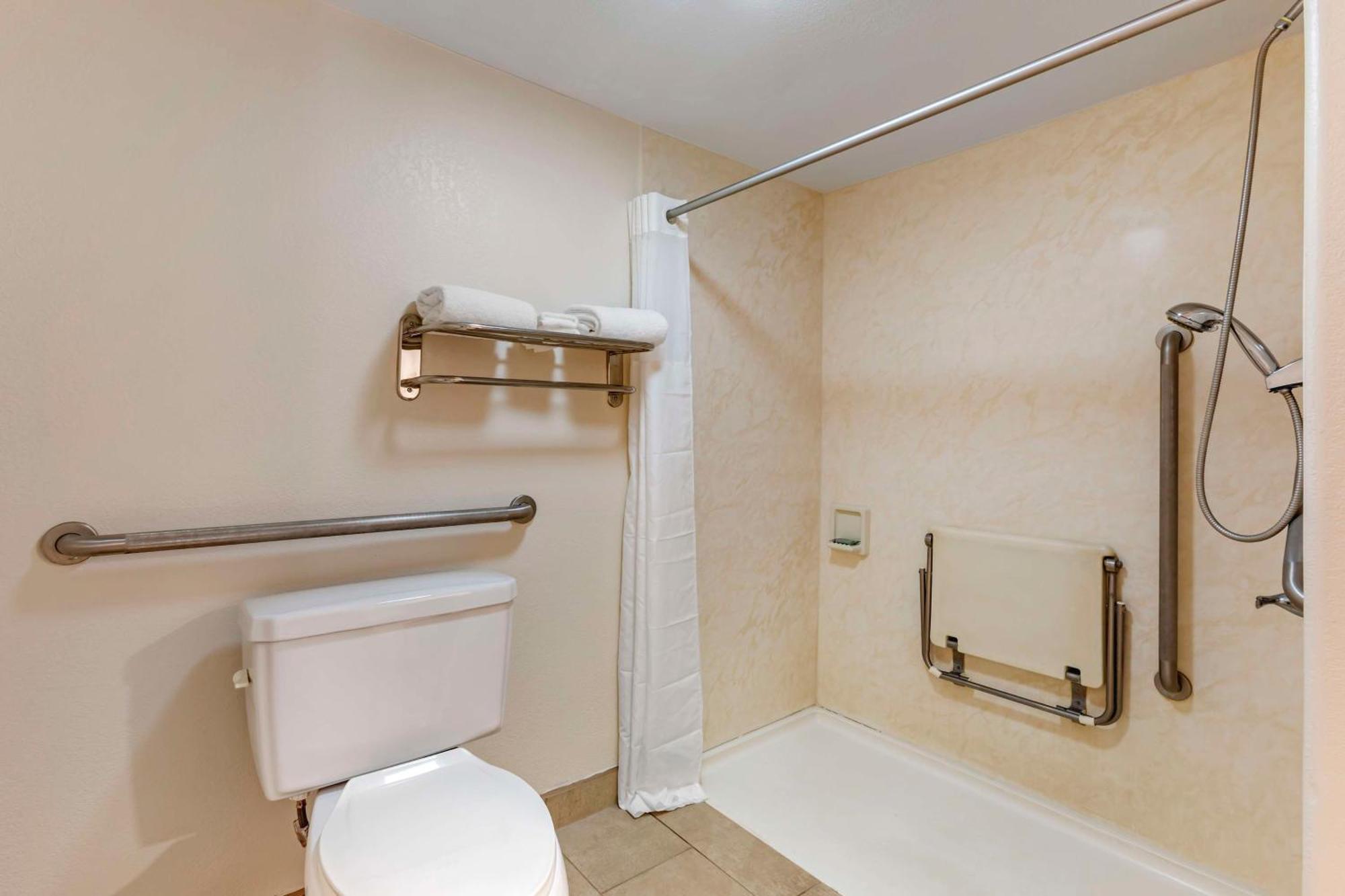 Queen Room with Roll-in Shower - Non-Smoking/Mobility Access