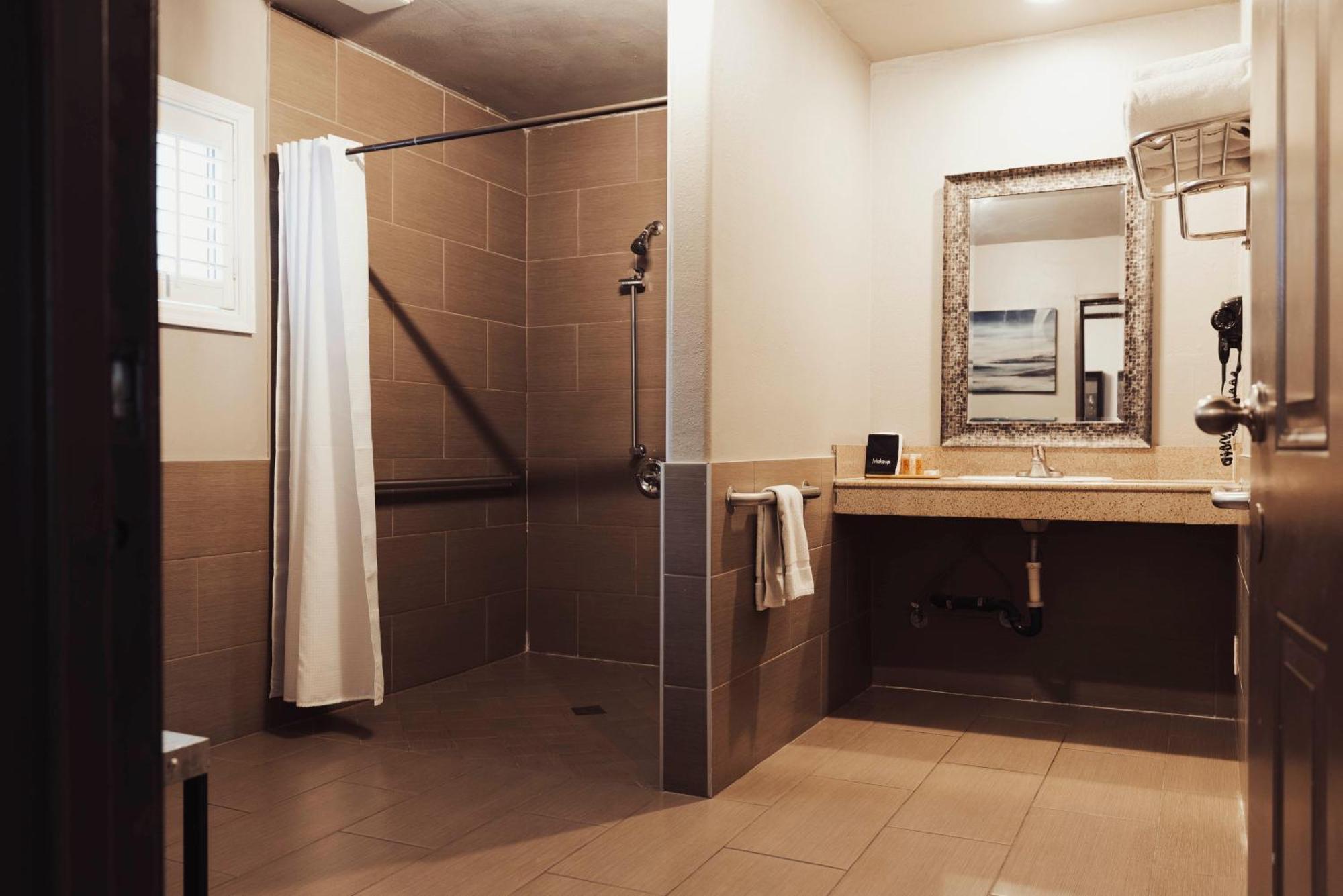 Jacuzzi Suite 1 King Bed