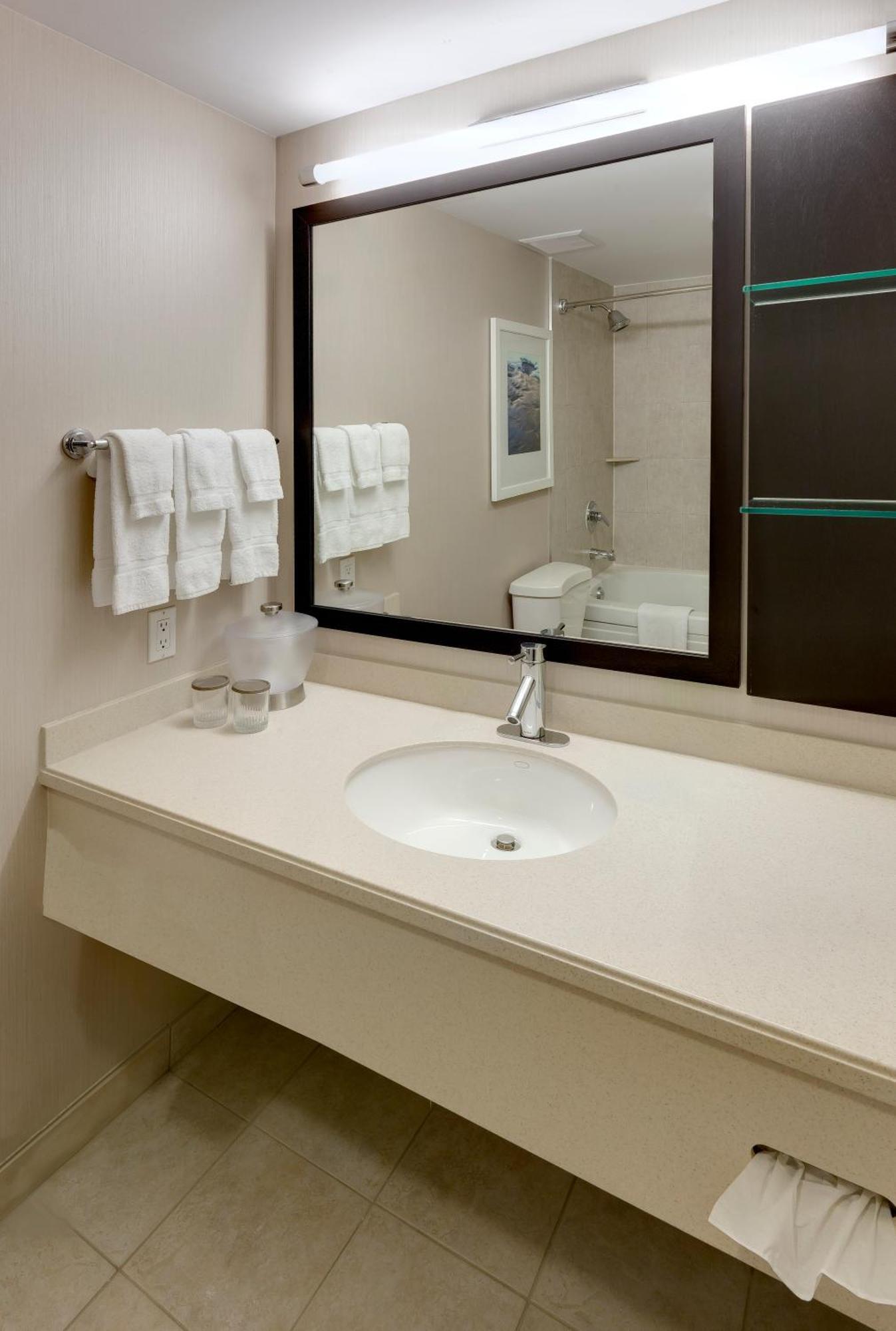 Standard Queen Room Mobility Accessible Roll Shower