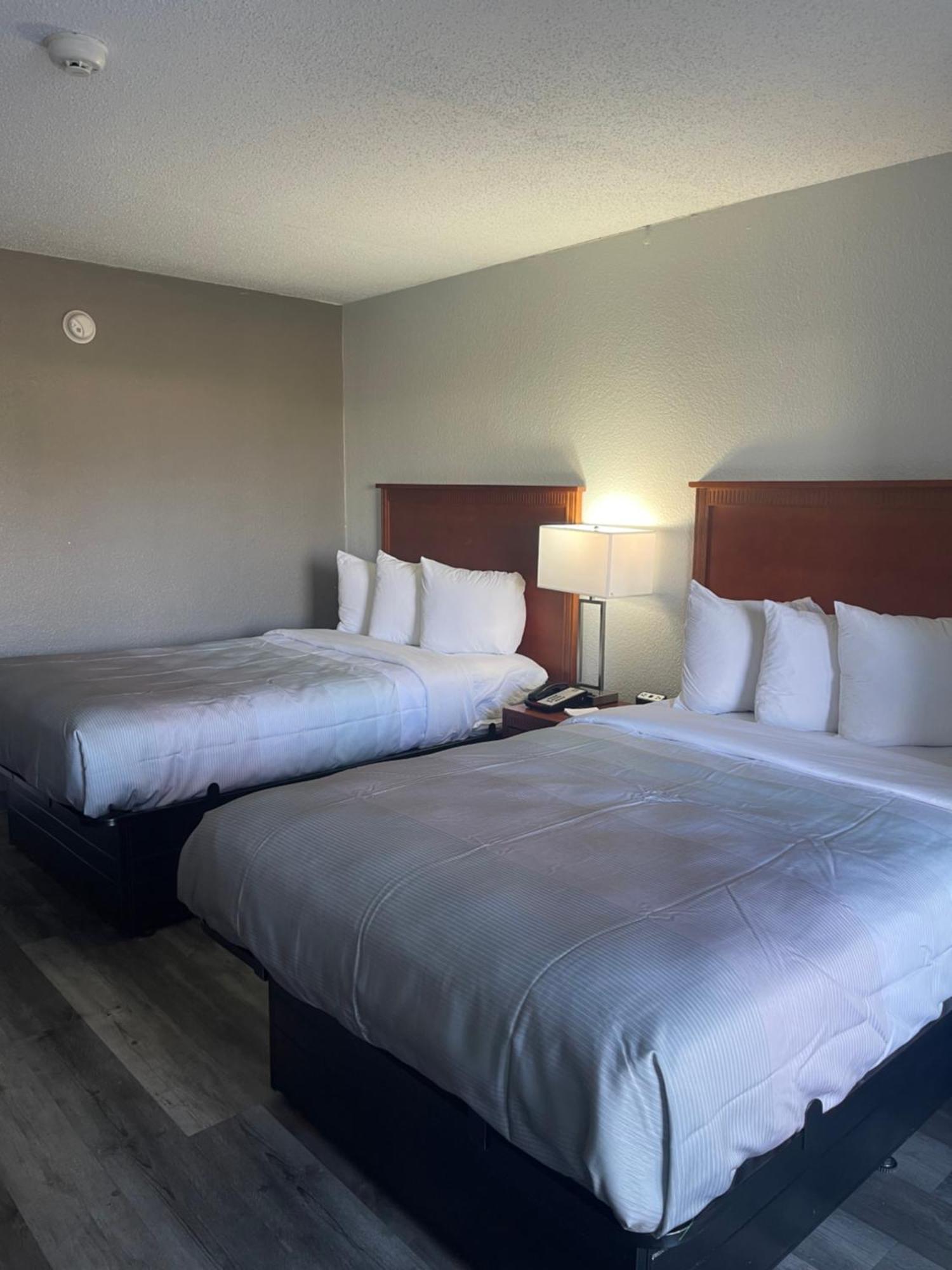 Standard Double Room with Two Double Beds - Non Smoking