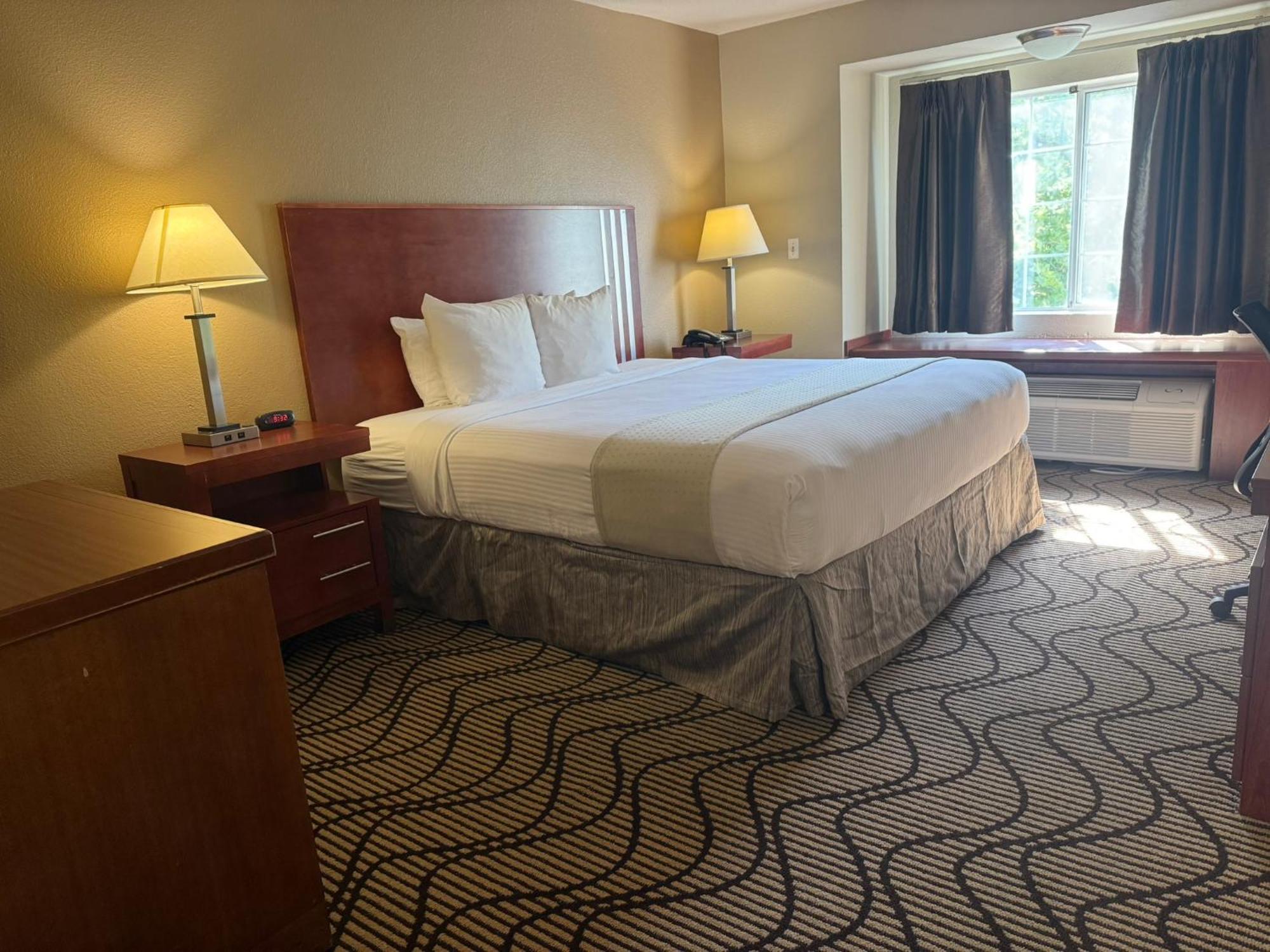 King Suite with Sofa Bed - Non-Smoking