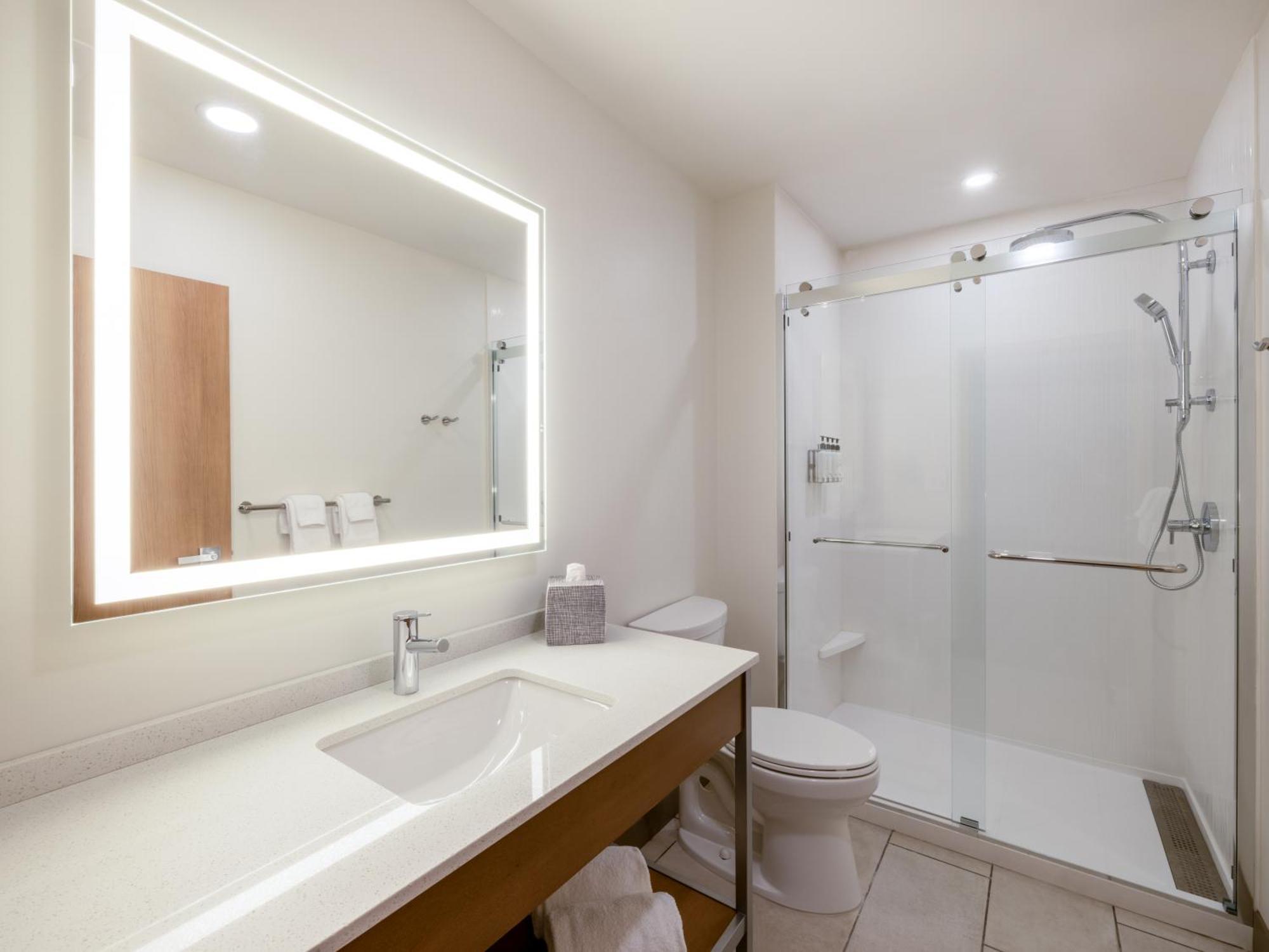 One-Bedroom King Suite