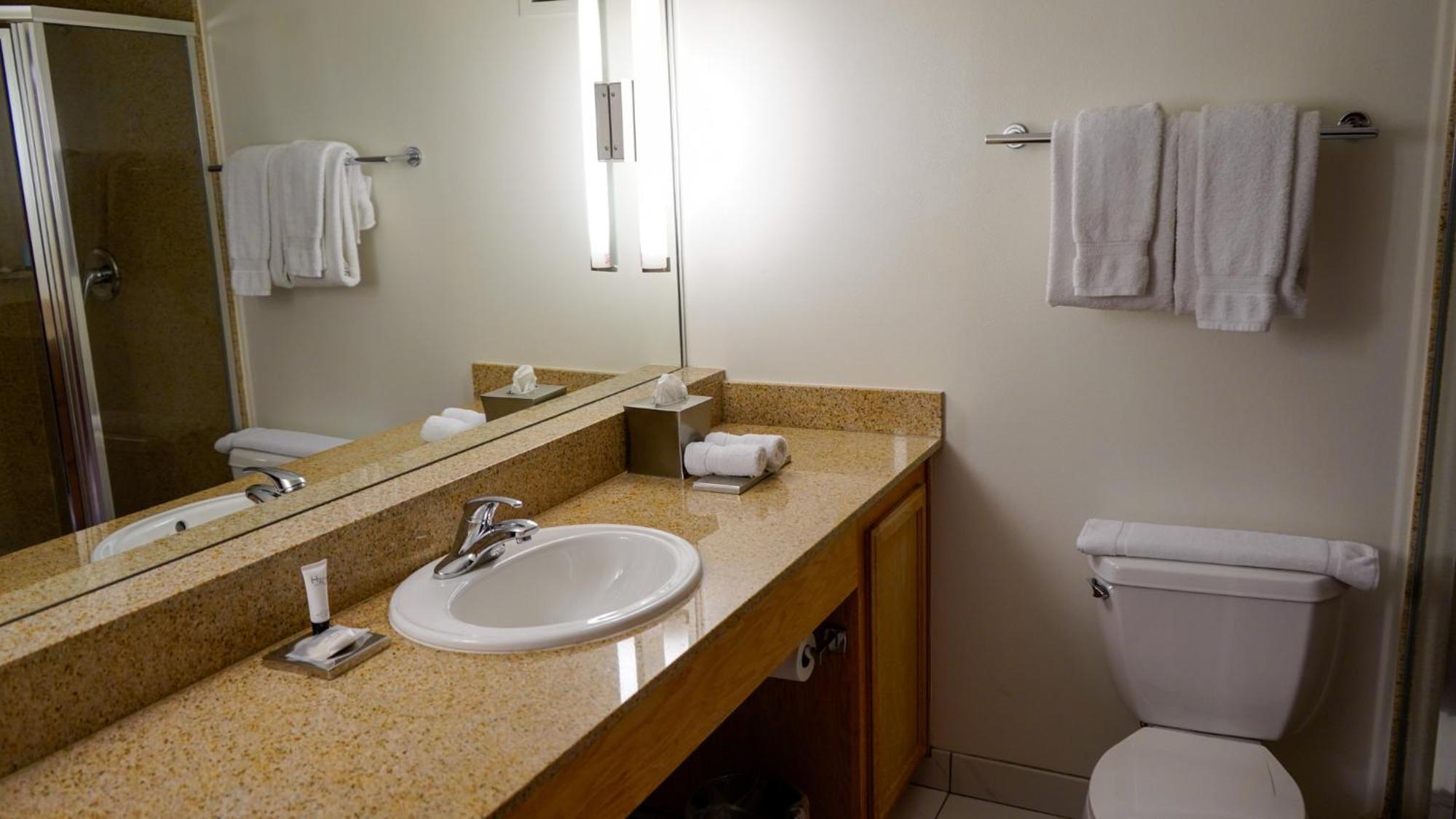 Grand 1 Bedroom Suite King
