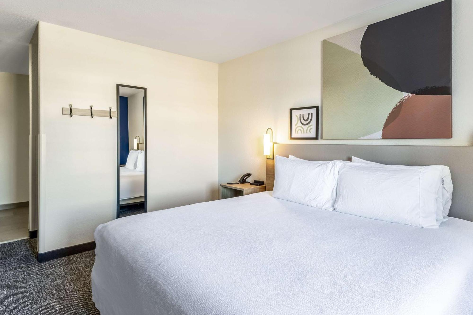 King Room Roll Shower Mobility Hearing Access