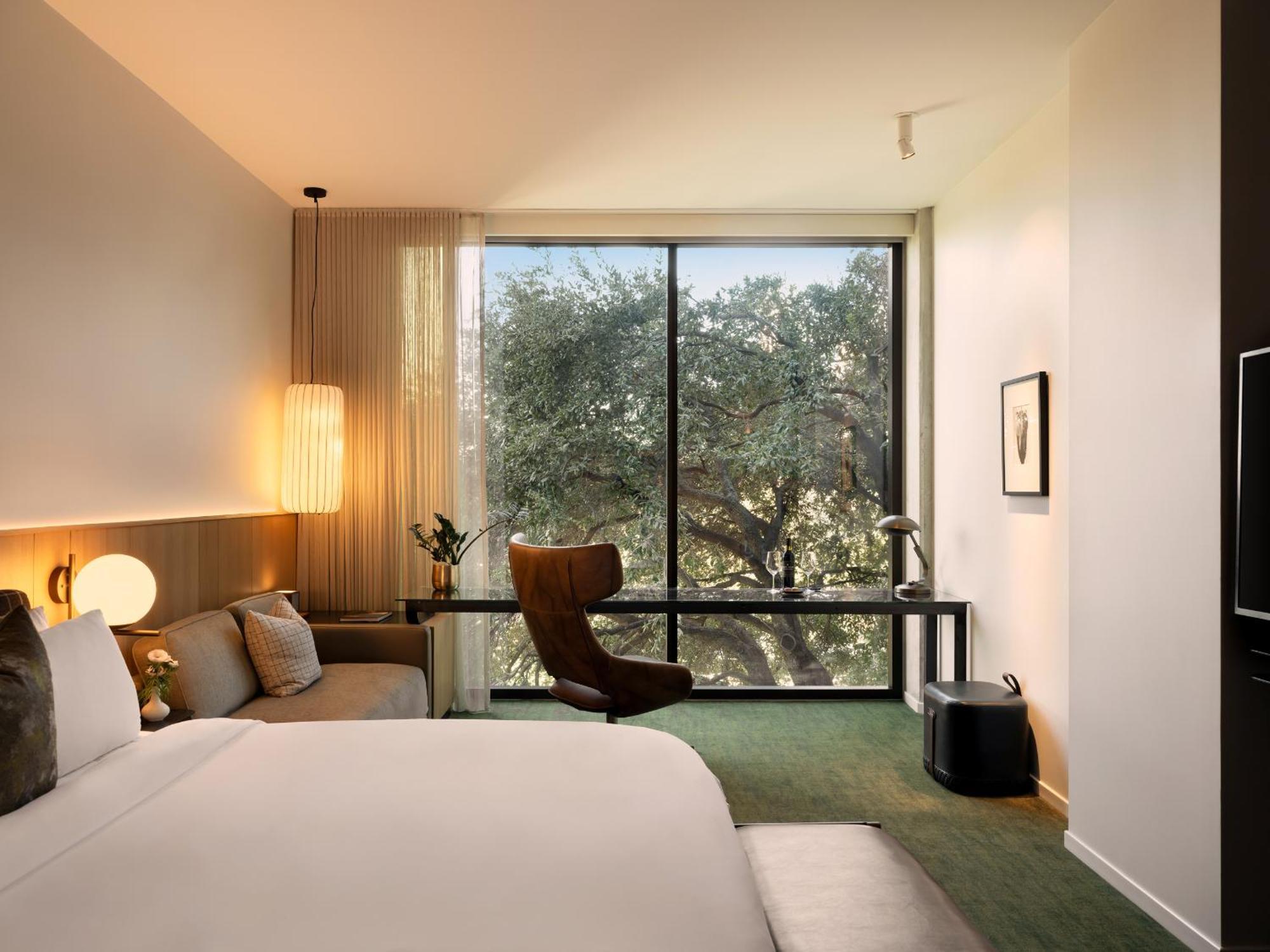 Studio King Suite
